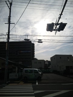 �Ђ��肪���낢