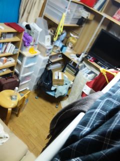 ����������c���Ɓc�I�H(�K�t�K)