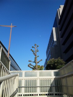 �����݂���