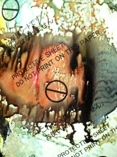 �y���w�b�h�t�H��