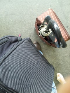 いつもおもうけど