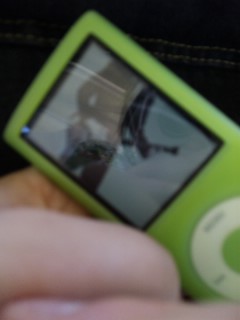 ��the wind of flowers�^Lunetia