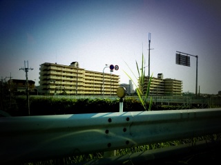 �f�挩��Ȃ�