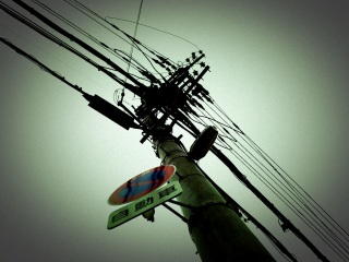 ���m�N���̃r�W����