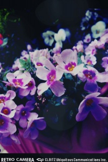 �ǂ���������