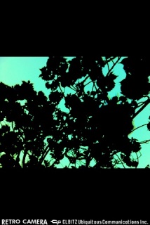 ���H���̂��`�I