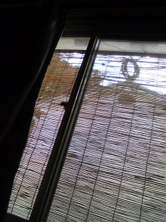 ���C�܁[������