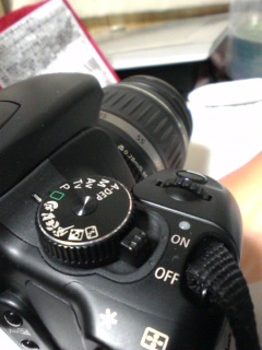 ���߂炱��ꂽ