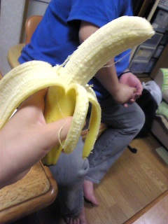 �������͂�