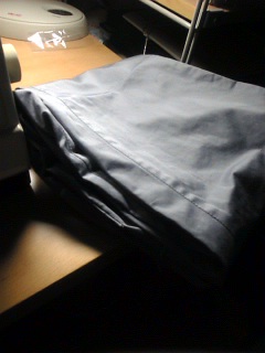 �A�L���̃Y�{��