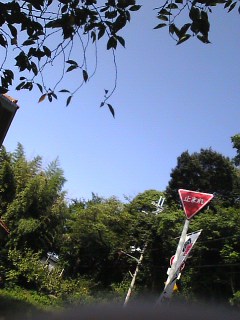 �����}�b�N�X