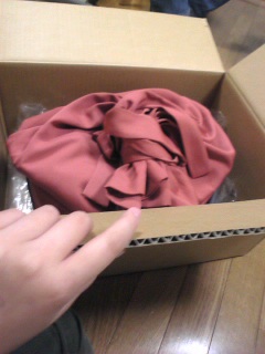 �ӂ�͂�����