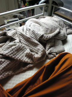 こんな寒いのに