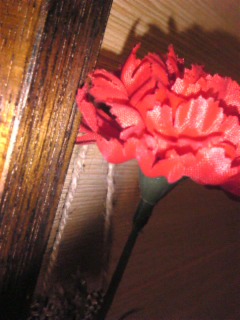 �i�B�E_�E�B�j