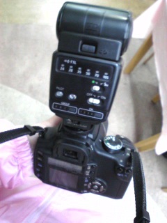 �I�[�v���L�����p�X