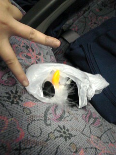 �����݂���K�^�u��