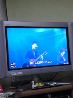 ���킢������O�O�O