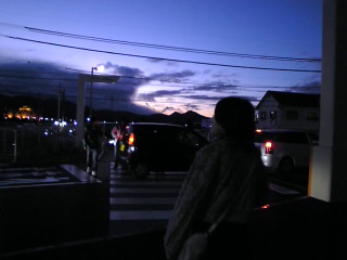 ���ꂢ������