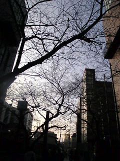 �H�����_���킽�c