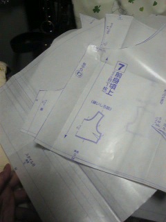 ����ȃt���O