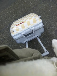 ���C�}�b�N�X