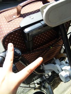 ���܂���