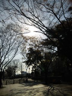 さわやかな朝です