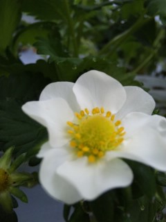 ����������I