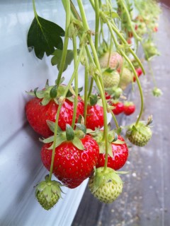 �Ȃ񂾂�����