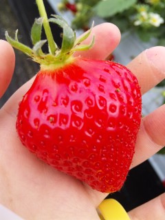 ������