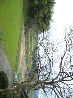 �������ނ�