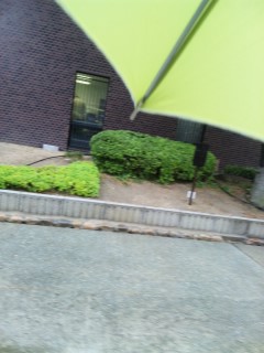 �����̂Ȃ�����