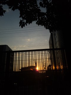 ����̖���