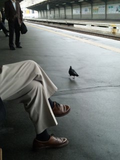 �����킢��