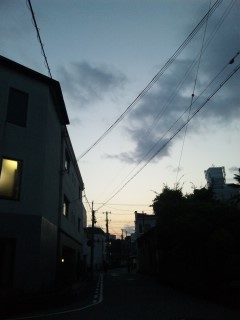 どうしようもなく